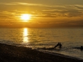 tn_Sun Set
