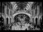 1 NATURAL HISTORY MUSEUM by Darren Worthy_et