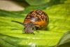 IMG_3530-Edit_et
