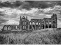 2023.10.19-DCC-Earthscapes-2_et