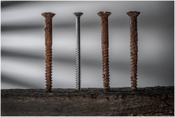 A row of four screws stands on rough wood; three are heavily rusted while the central screw is shiny and new, highlighted against a soft grey gradient