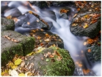 Lumsdale Water_web