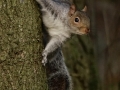 JUST-HANGING-OUT-Second-Dave-Rodgers-2-jpg_et