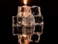 2024-reflections-1-DB_et