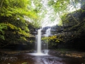 tn_teesdale