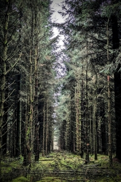 2025-Earthscapes-col-Ian-Clay_et