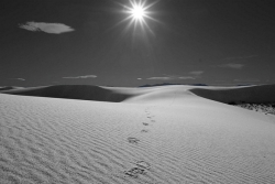 Footsteps-IM_et