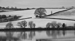 Winters-Morning_et