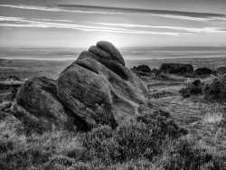 tn_John Newman 3rd Sept 2014 earthscape mono