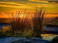 tn_John Newman joint 2nd Sept 2014 earthscape colour