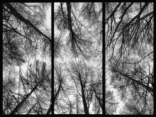 1_laura-mono-2-2