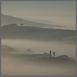 2024-PDIotY-2-Misty-Morning-MH_et