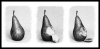 tn_Marie Rollitt Triptych June 2nd