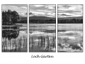 tn_Marie Rollitt Triptych June 1st
