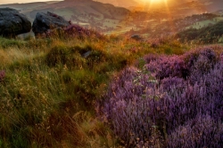 tn_SUNSET OVER THE HOPE VALLEY