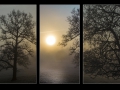 Mike Gibbons Triptych Colour June 1st