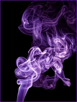 2025-Colour-Purple-PDI-2-Neil-Frith_et