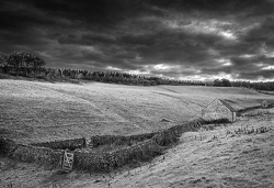 NW-fields_et