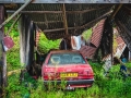 2023-urban-jungle-1-NW_et