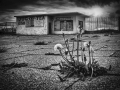 2023-urban-jungle-2-NW_et