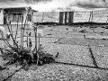 NW-Decay-3_et