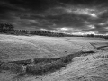 NW-fields_et