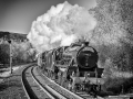 Tin-Bath-Express_et
