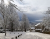 Barrack Road-1_tn.JPG