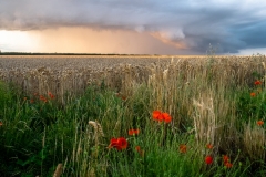 Bridlington-and-Humber-29-of-29_et