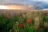 Bridlington-and-Humber-29-of-29_et