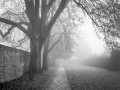 Misty-Morning_et