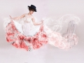 Steve Oxley Flamenco_et