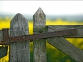 Tony Godwin 1_web